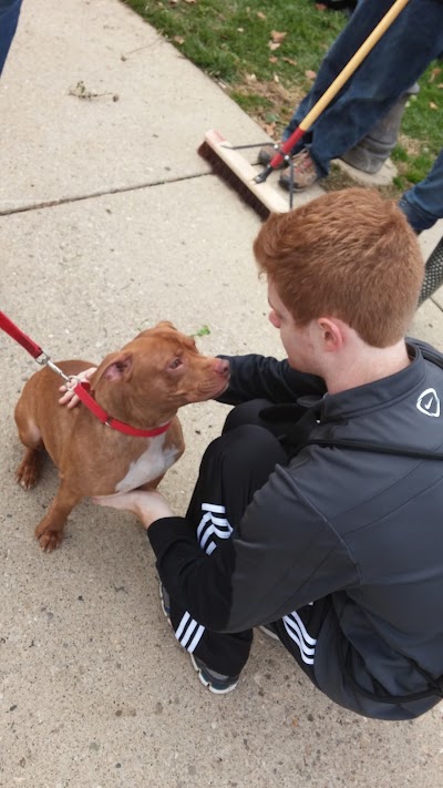Photos of Humane Society of Indianapolis