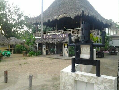 Photos of Hotel Palapa