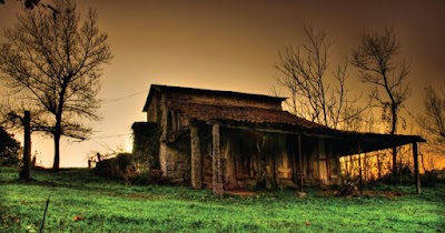 Photos of Bukura Agricultural College