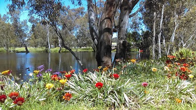 Photos of Stawell's Grampians Gate Caravan Park