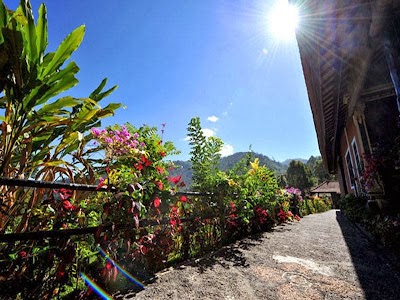 Photos of Melanting Resort - Retreat, Healing & Wellness Resort in Bali