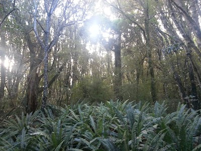 Photos of Kaka Point Holiday Homes