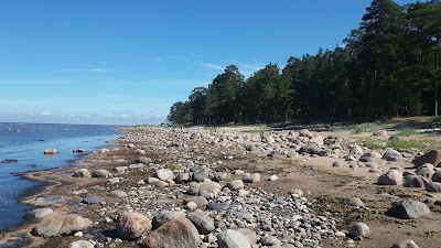 Photos of RMK Krapi camping
