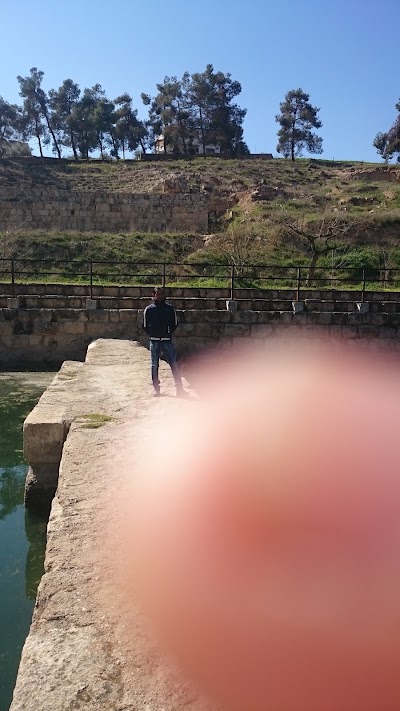 Photos of منتزة البركتين