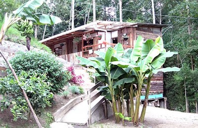 Photos of Monte Verde