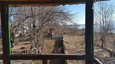 Photos of Erblini & Hera Camp