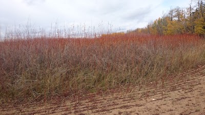Photos of Winagami Lake Provincial Park