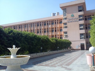 Photos of Faculty Of Electronic Engineering - Menofia University