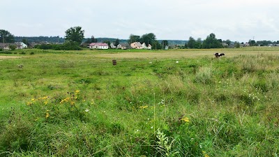 Photos of Ovidijaus Jasinsko bitynas