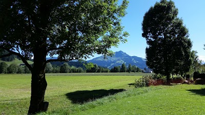 Photos of Hotel Gasthof Restaurant Neuwirt