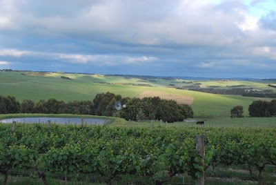 Photos of Newtons Ridge Estate Vineyard & Winery