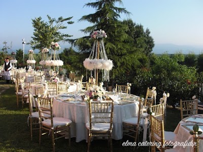 Photos of apple Catering