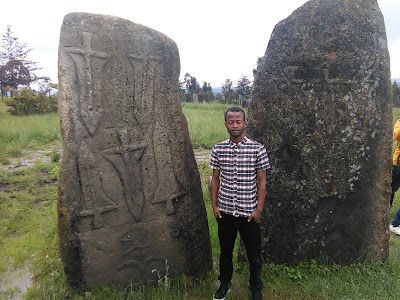 Photos of Tiya World Heritage Site