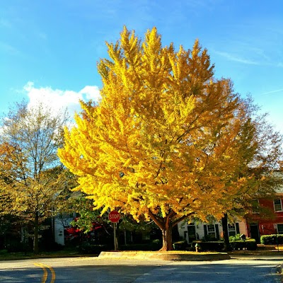 Photos of Rhodes Park