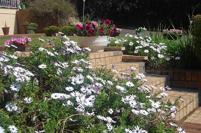 Photos of Taunton House Bed & Breakfast