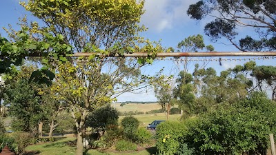 Photos of 12 Apostles Bed and Breakfast