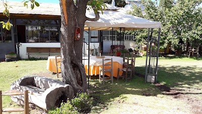 Photos of Restaurant Casa e' campo