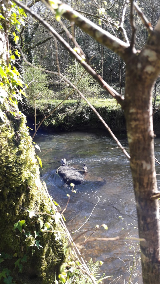 Les gorges du Stangala