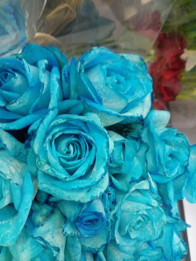 Photos of Florists Linda