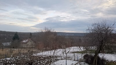 Photos of Ribarnitsite