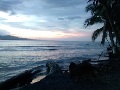 Photos of Mango Sunset