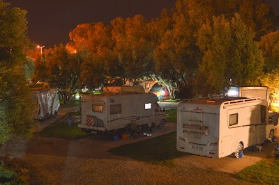 Photos of Camping olive trees