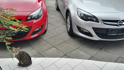 Photos of Rent a Car Banja Luka - Control rent a car