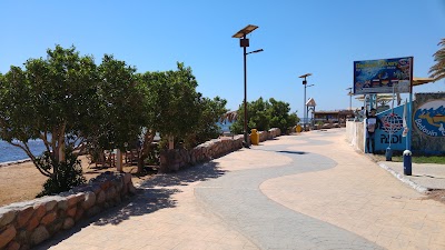 Photos of Shams Hotel & Dive Centre