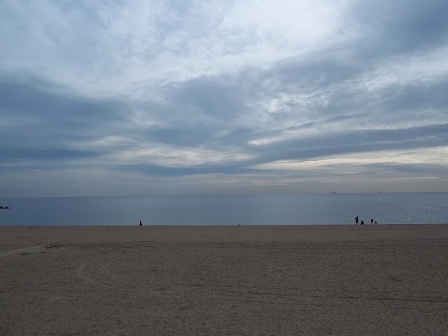 Platja del Bogatell