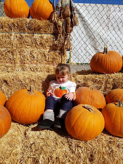 Photos of Tolmachoff Farms