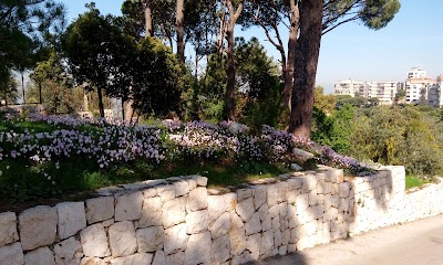 Photos of Deir Saydet El Bir دير سيدة البير