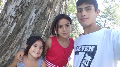 Photos of Cocher&iacute;a POCHO BERNARDO AND SONS S.A