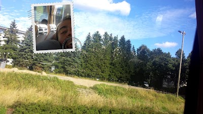 park