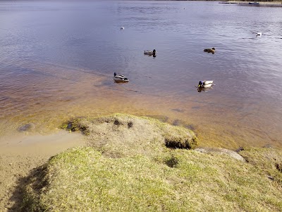 Photos of Mezaparks
