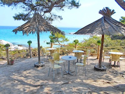 Photos of Orange Beach Bar