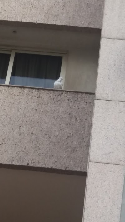Photos of White House Hotel