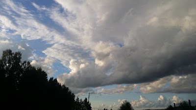 Photos of KS Baltijas dārzeņi