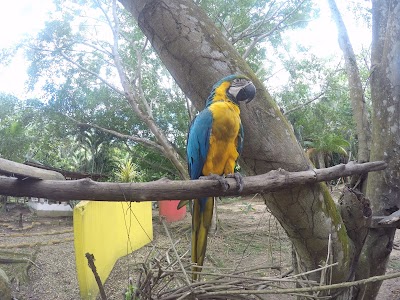 Photos of Amanwana Ecofinca