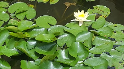 Photos of Casa Grande