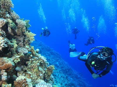 Photos of Red Sea Relax Resort