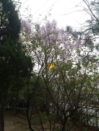 Photos of 동오리어린이공원