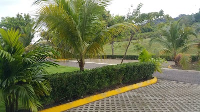 Photos of Pearly beach