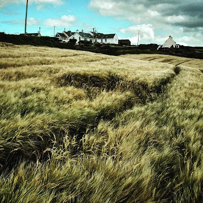 Photos of Galley Head Lightkeeper's House