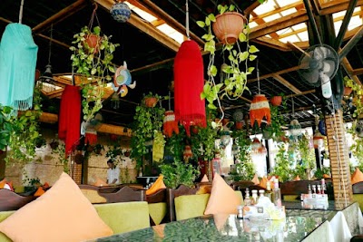 Photos of Shark Restaurant