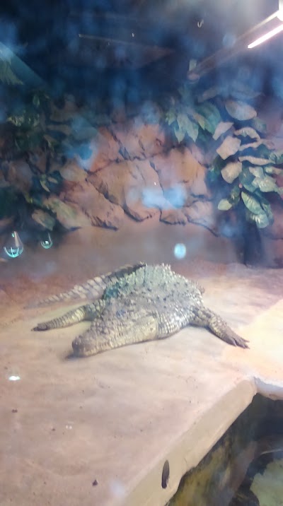 Photos of Tropicario - Trooppinen El&auml;intalo