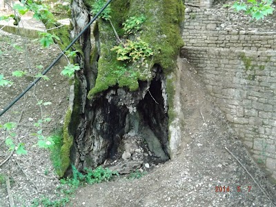 Photos of Moni Prodromou