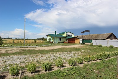 Photos of Usad'ba "Shchedryy Zayats"