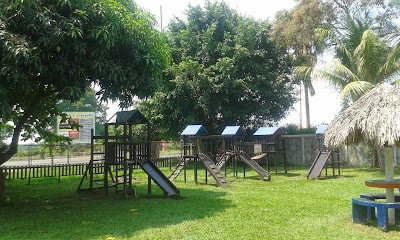 Photos of La pergola del avestruz