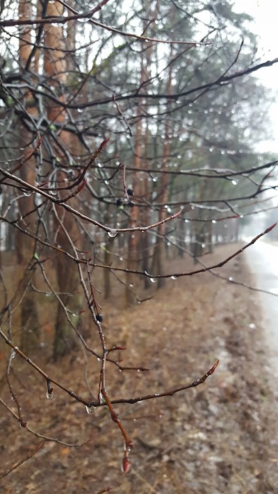 Photos of Anniņmuižas parks
