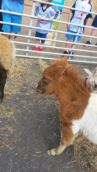 Photos of Petmania Portlaoise